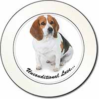 Beagle Dog 