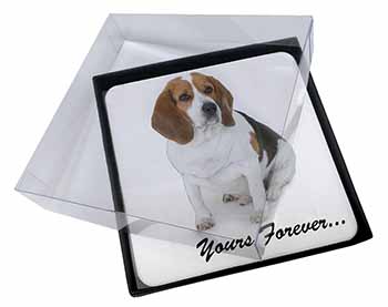 4x Beagle Dog "Yours Forever..." Picture Table Coasters Set in Gift Box