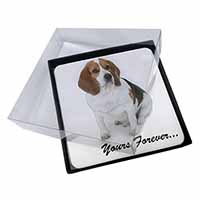 4x Beagle Dog "Yours Forever..." Picture Table Coasters Set in Gift Box