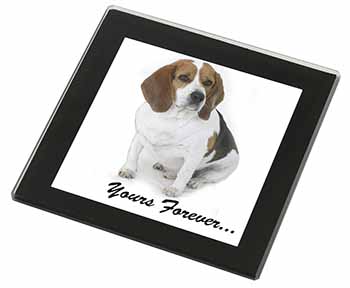 Beagle Dog "Yours Forever..." Black Rim High Quality Glass Coaster