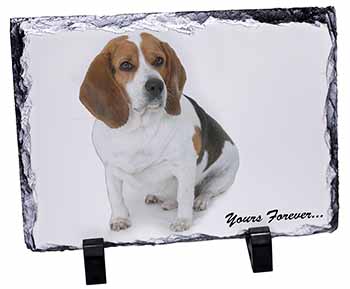 Beagle Dog "Yours Forever...", Stunning Photo Slate