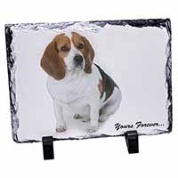 Beagle Dog "Yours Forever...", Stunning Photo Slate