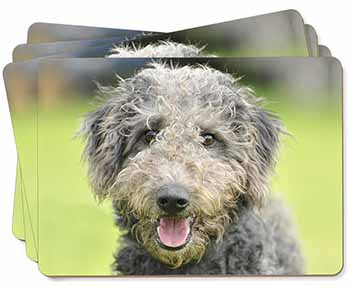 Bedlington Terrier Dog Picture Placemats in Gift Box