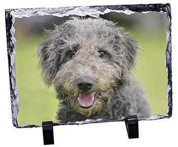 Bedlington Terrier Dog, Stunning Photo Slate