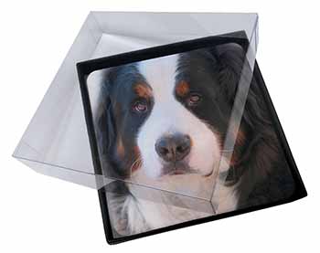 4x Bernese Mountain Dog Picture Table Coasters Set in Gift Box