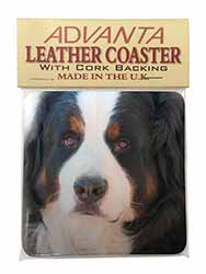 Bernese Mountain Dog Single Leather Photo Coaster