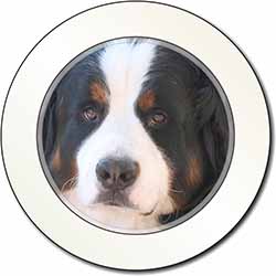 Bernese Mountain Dog Car or Van Permit Holder/Tax Disc Holder