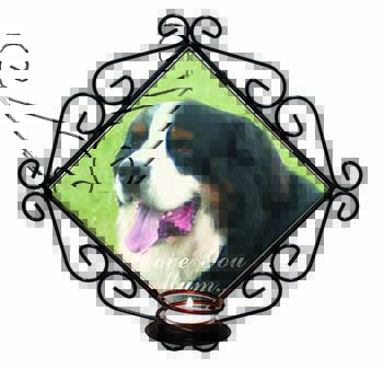 Bernese Mountain Dog 