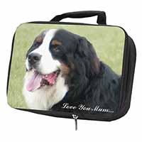 Bernese Mountain Dog 