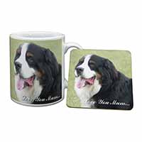 Bernese Mountain Dog 