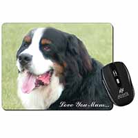 Bernese Mountain Dog 