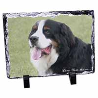 Bernese Mountain Dog 