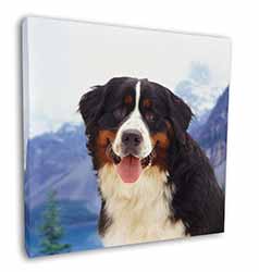 Bernese Mountain Dog Square Canvas 12"x12" Wall Art Picture Print