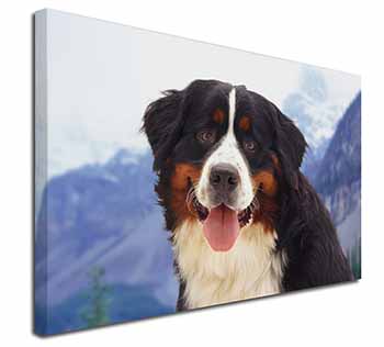 Bernese Mountain Dog Canvas X-Large 30"x20" Wall Art Print