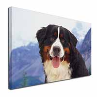 Bernese Mountain Dog Canvas X-Large 30"x20" Wall Art Print