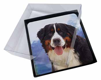 4x Bernese Mountain Dog Picture Table Coasters Set in Gift Box