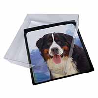 4x Bernese Mountain Dog Picture Table Coasters Set in Gift Box