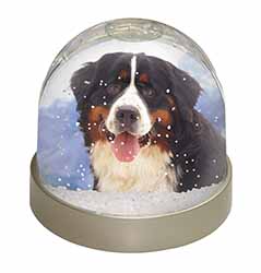 Bernese Mountain Dog Snow Globe Photo Waterball