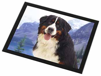 Bernese Mountain Dog Black Rim High Quality Glass Placemat