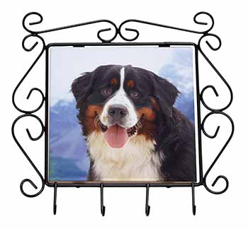 Bernese Mountain Dog Wrought Iron Key Holder Hooks