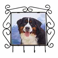 Bernese Mountain Dog Wrought Iron Key Holder Hooks