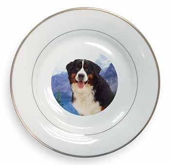 Bernese Mountain Dog Gold Rim Plate Printed Full Colour in Gift Box