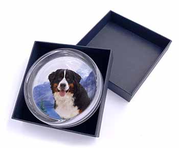 Bernese Mountain Dog Glass Paperweight in Gift Box