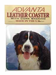 Bernese Mountain Dog Single Leather Photo Coaster