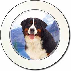 Bernese Mountain Dog Car or Van Permit Holder/Tax Disc Holder