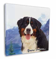 Bernese Mountain Dog Square Canvas 12"x12" Wall Art Picture Print