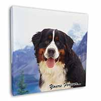 Bernese Mountain Dog Square Canvas 12"x12" Wall Art Picture Print