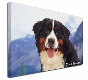 Bernese Mountain Dog Canvas X-Large 30"x20" Wall Art Print