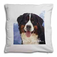 Bernese Mountain Dog Soft White Velvet Feel Scatter Cushion