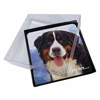 4x Bernese Mountain Dog Picture Table Coasters Set in Gift Box