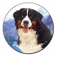 Bernese Mountain Dog Fridge Magnet Printed Full Colour