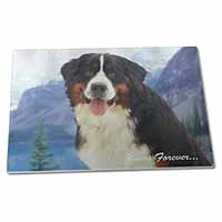 Large Glass Cutting Chopping Board Bernese Mountain Dog