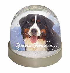 Bernese Mountain Dog Snow Globe Photo Waterball