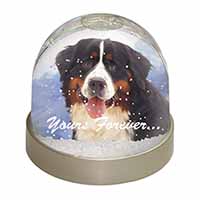 Bernese Mountain Dog Snow Globe Photo Waterball