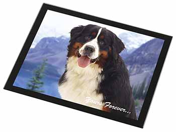 Bernese Mountain Dog Black Rim High Quality Glass Placemat