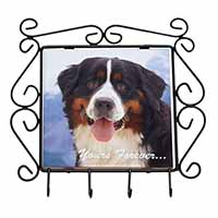 Bernese Mountain Dog Wrought Iron Key Holder Hooks