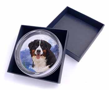 Bernese Mountain Dog Glass Paperweight in Gift Box