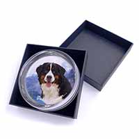 Bernese Mountain Dog Glass Paperweight in Gift Box