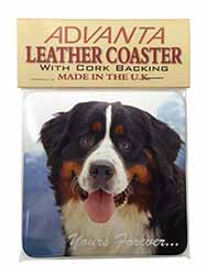 Bernese Mountain Dog Single Leather Photo Coaster