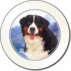 Bernese Mountain Dog Car or Van Permit Holder/Tax Disc Holder