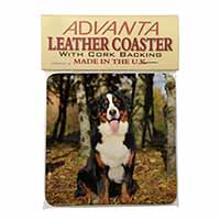 Bernese Mountain Dog Single Leather Photo Coaster