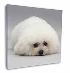 Bichon Frise Dog Square Canvas 12"x12" Wall Art Picture Print