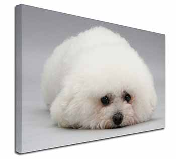 Bichon Frise Dog X-Large 30"x20" Canvas Wall Art Print - Advanta Group®