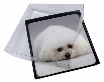 4x Bichon Frise Dog Picture Table Coasters Set in Gift Box