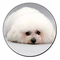 Bichon Frise Dog Fridge Magnet Printed Full Colour