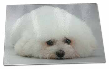 Large Glass Cutting Chopping Board Bichon Frise Dog